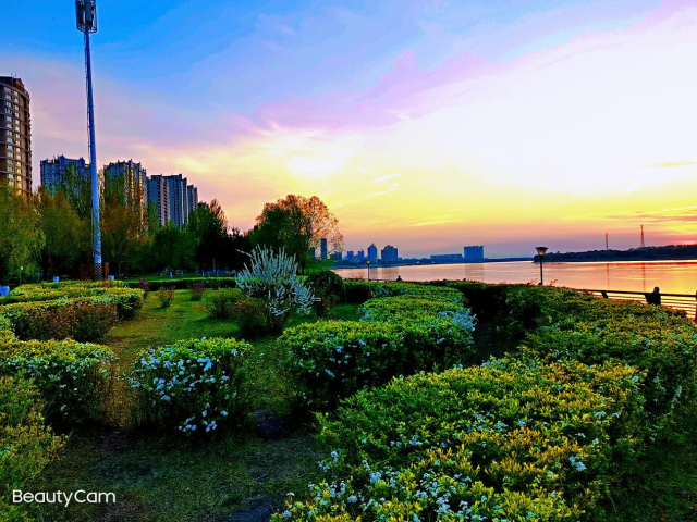 Honeyview_image003.jpg